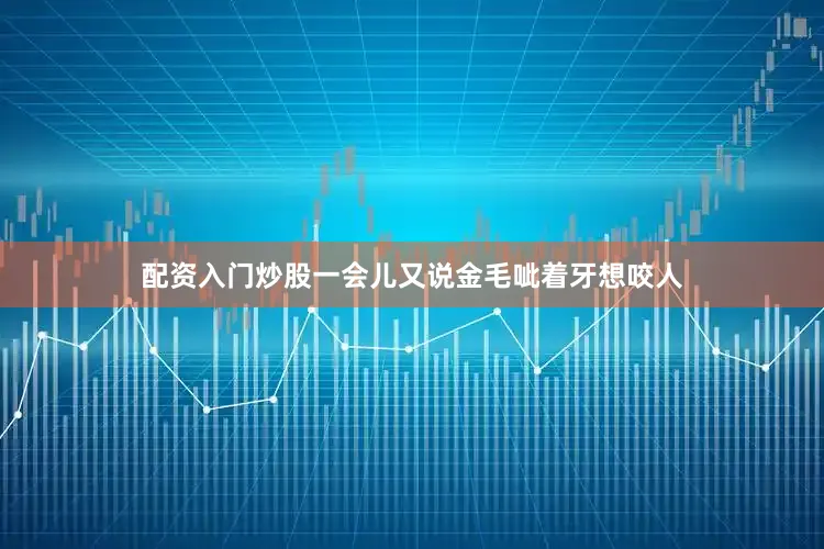 配资入门炒股一会儿又说金毛呲着牙想咬人